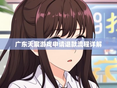 广东天宸游戏申请退款流程详解
