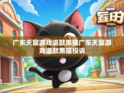 探究广东天宸游戏的黑猫,遇见真相之时与退款的决心
