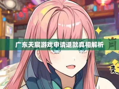 广东天宸游戏申请退款真相解析