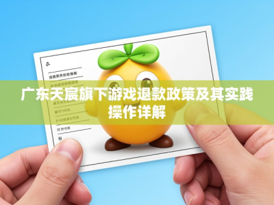 广东天宸旗下游戏退款政策及其实践操作详解