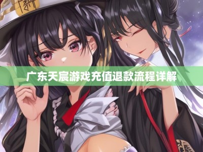 广东天宸游戏充值退款流程详解